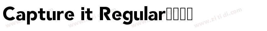 Capture it Regular字体转换